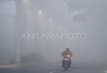 Kabut Asap Kiriman di Bukittinggi Ganggu Kesehatan Masyarakat