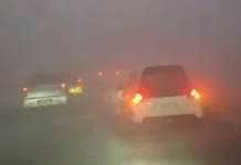 Apa yang Harus Dilakukan saat Kabut Asap Melanda?