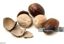 Berbagai Manfaat Buah Pala bagi Kesehatan