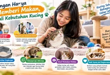 Jangan Hanya Memberi Makan, Kenali Kebutuhan Kucing