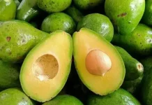 Alpukat Merupakan Buah yang Memiliki Rasa Nikmat, dan Khas