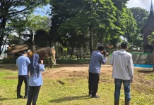 Gajah Zidan Jadi Perhatian di Taman Kinantan Bukittinggi