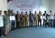 Pemkab Pasaman Barat Gandeng OJK Perkuat Ekosistem Pembiayaan Komoditas Jagung