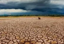 Dampak Fenomena El Nino