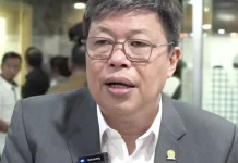 Alex Indra Lukman: Status Hutan Jangan Jadi Penghalang Pembangunan di Mentawai