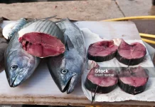 Beragam Manfaat Ikan Tongkol yang Harus di Ketahui