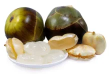 Berbagai Manfaat Buah Lontar untuk Kesehatan