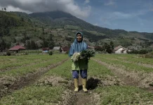 Kehidupan Masyarakat di Sekitar Gunung Berapi