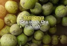 Sukun Kalaten Camilan Gurih Khas Minang yang Kaya Nutrisi