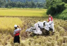 Lima Program Unggulan Kepala Dinas Pertanian Tanah Datar