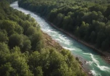 Hari Sungai Sedunia, Saatnya Menjaga Nadi Kehidupan