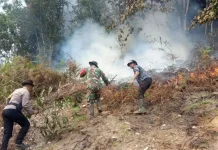 Lahan Terbakar di Bukit Sikumpa Solok Piobang