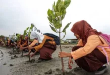 Mengapa Pariwisata Ramah Lingkungan Semakin Penting?
