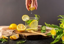 Dari Lemon hingga Mentimun, Ragam Infused Water