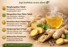 Cara Alami Mengatasi Pusing, dan Mual dengan Bumbu Dapur