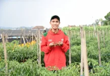 Modernisasi Pertanian Kabupaten Tanah Datar dan Regenerasi Petani