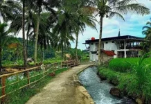 Wisata Banda Dareh
