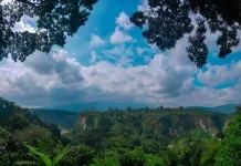 Aksi Proaktif Mitigasi Bencana di Bukit Cangang Kayu Ramang, Kota Bukittinggi