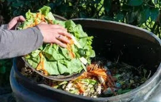Produksi Biogas dapat Mengurangi Limbah Organik