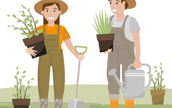 Tren Hobi Berkebun yang Semakin Diminati Masyarakat