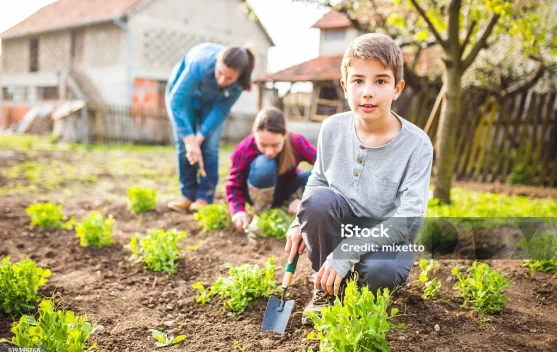 Manfaat Berkebun dan Memelihara Tanaman untuk Kesehatan