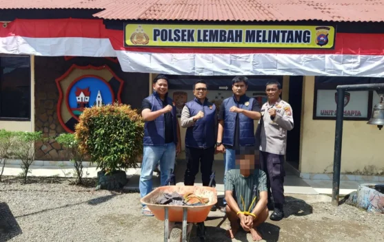 Tim URC Polsek Lembah Melintang Tangkap Pelaku Curat