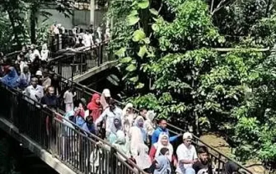 Taman Margasatwa dan Budaya Kinantan Bukittinggi Ramai Wisatawan saat Liburan