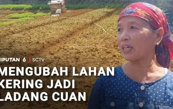 Mengubah Lahan Kesehatan Menjadi Ladang Cuan