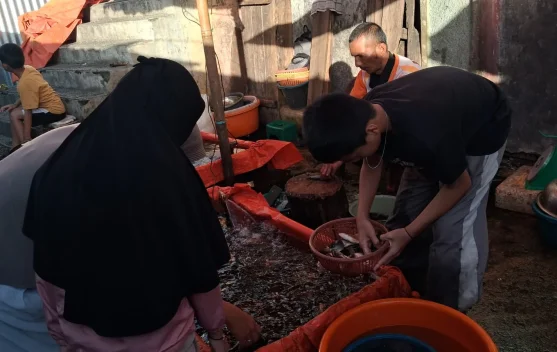Aktivitas Jual Beli Ikan Hidup Ramai di Pasar