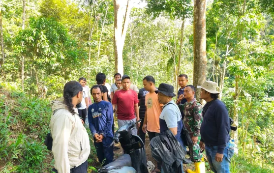 Kodim 0304/Agam Ungkap Praktik Tanam Ganja di Palembayan, Dua Petani Diamankan