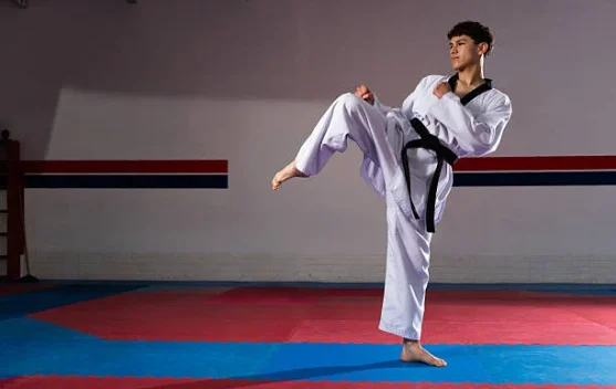 Mengenal beberapa Teknik Dasar Taekwondo