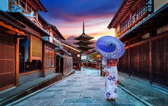 Jepang Bidik Talenta Global lewat Program Visa Digital Nomad