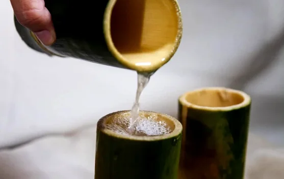 Mengenal Pohon Nira