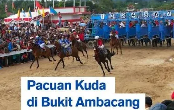 Olah Raga Pacu Kuda di Bukittinggi Tradisional yang sarat Sejarah dan Budaya