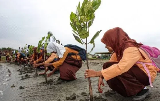 Mengapa Pariwisata Ramah Lingkungan Semakin Penting?