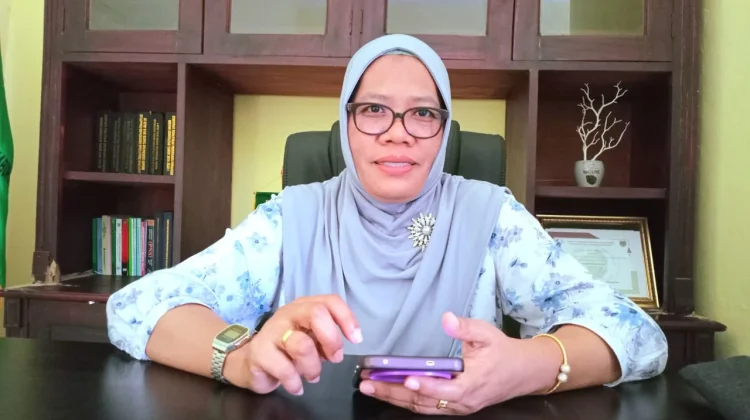 Pengadaan Obat Dinkes SBT Tahun 2025 ternyata Ditangani 10 Perusahaan