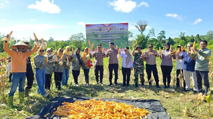 Dukung Swasembada Pangan, Brimob Panen Jagung Hibrida 1 Ton Lebih di Bula SBT
