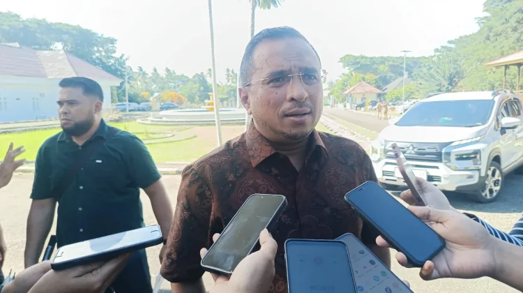 Hilirisasi Sagu SBT Layak Jadi PSN, Bupati Fachri: Tanda Baiknya Sudah Kelihatan