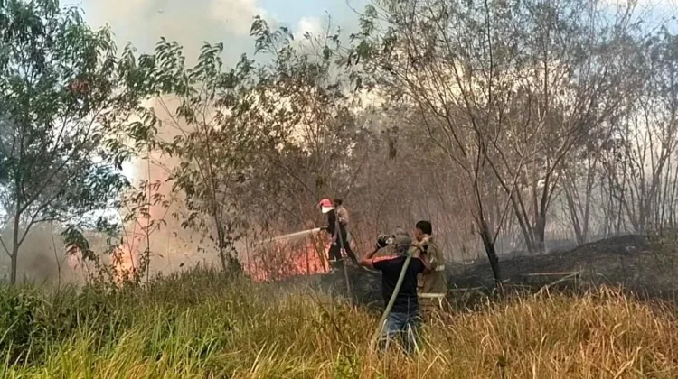Puluhan Hektare Lahan di Bula Terbakar, Api Sempat Mendekati Area PLTD