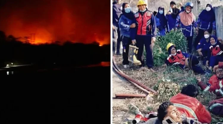 Pantang Mundur, Perjuangan Petugas Damkar SBT Jinakkan Karhutla Tuai Apresiasi