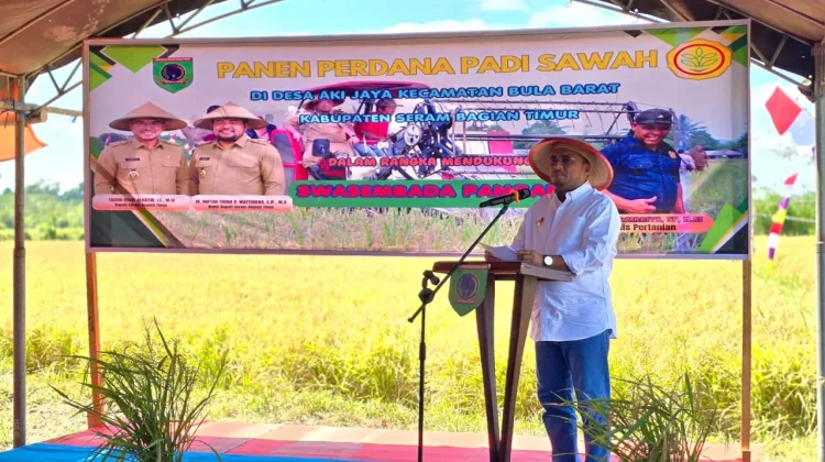 Perkuat Ketahanan Pangan, Bula Barat Jadi Sentra Produksi Padi