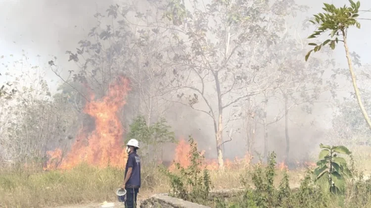 Karhutla di Bula Makin Meresahkan, Warga Desak Pelaku Pembakaran Ditangkap