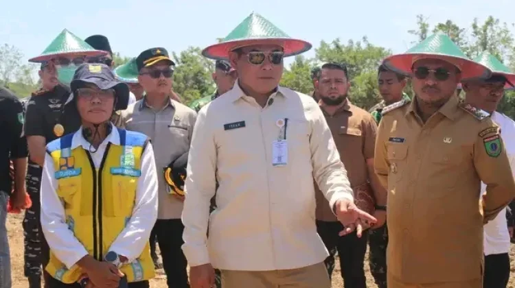 Cetak Sawah 1.362 Hektare di SBT Terkendala Musim Kemarau