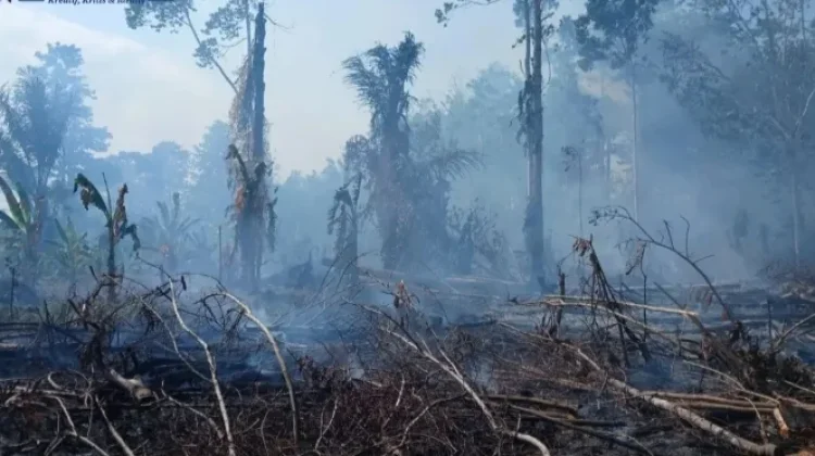 Tanaman Pertanian-Perkebunan Terdampak El Nino Didata Pemkab SBT