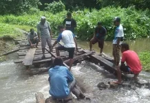 Pembangunan Ruas Jalan Werinama–Banggoi Menanti Restu Kemenhut