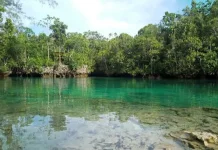 Danau Sole di  Amarsekaro SBT Masuk 10 Besar API Award 2026