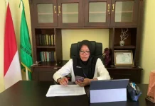 Dinkes SBT Bantah Tunda Insentif Nakes RSUD Bula, Simak Penjelasan Kilwalaga
