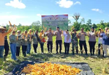 Dukung Swasembada Pangan, Brimob Panen Jagung Hibrida 1 Ton Lebih di Bula SBT