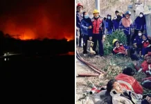 Pantang Mundur, Perjuangan Petugas Damkar SBT Jinakkan Karhutla Tuai Apresiasi