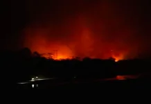 Bukan Cuaca, Aktivitas Manusia Diduga Picu Karhutla di SBT